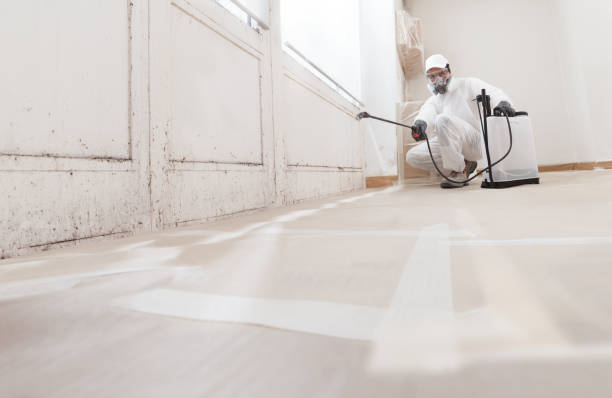 24/7 Emergency Black Mold Remediation experts in Springfield, IL